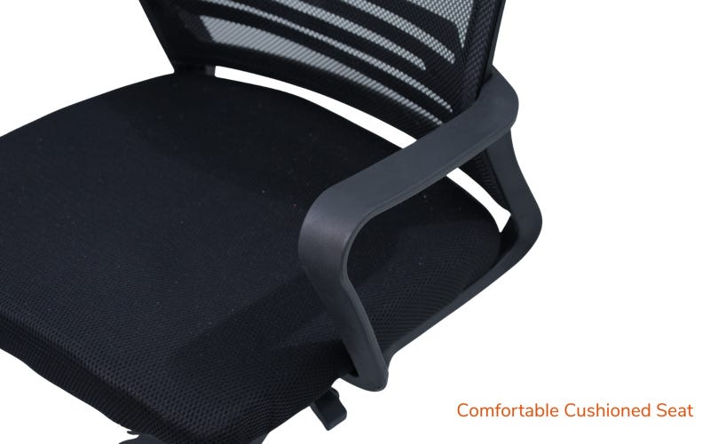 Royaloak Alba Mesh Medium Back Chair