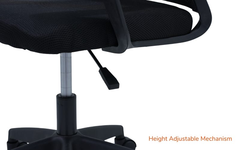 Royaloak Alba Mesh Medium Back Chair