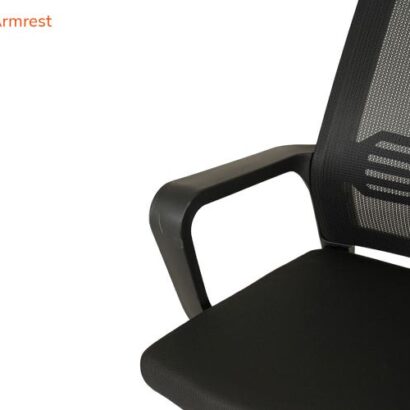 Royaloak Leon Kids Chair