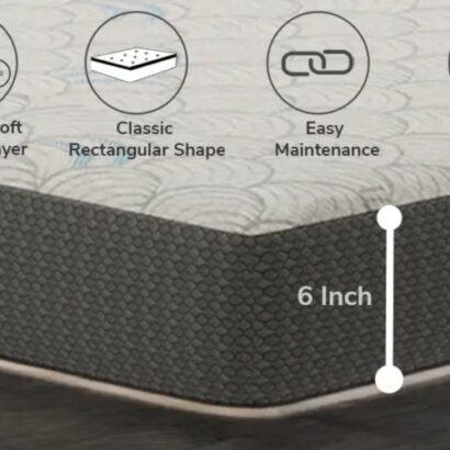 Royaloak SnoozZ Foam King Size Mattress