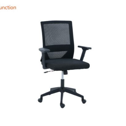 Royaloak Zilan Mesh Medium Back Chair