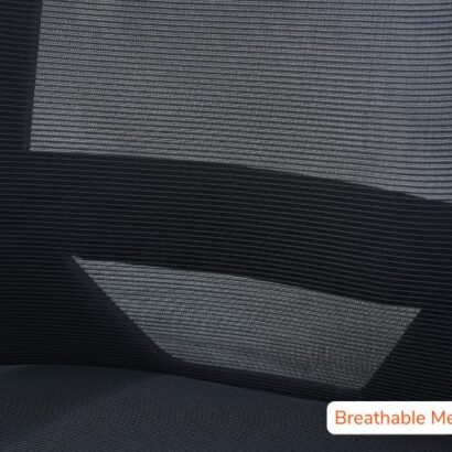 Royaloak Zilan Mesh Medium Back Chair