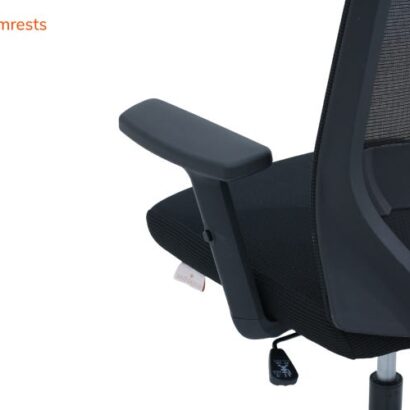 Royaloak Zilan Mesh Medium Back Chair
