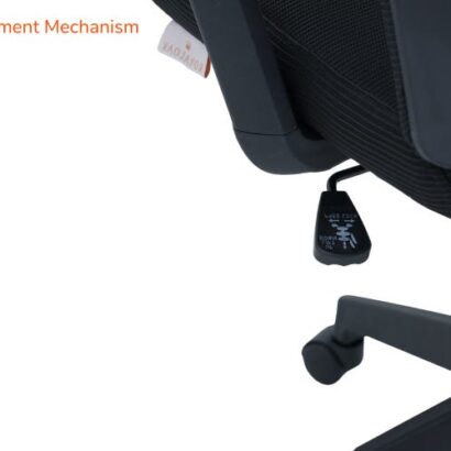 Royaloak Zilan Mesh Medium Back Chair